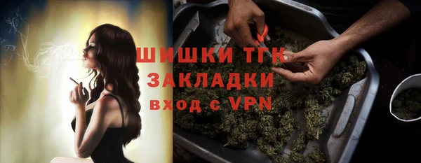 бошки Мегион