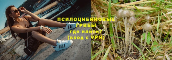 бошки Мегион