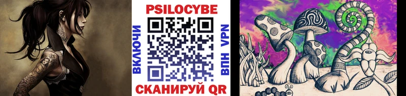 Псилоцибиновые грибы Cubensis Курлово
